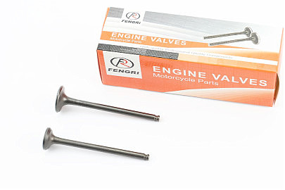 Клапан впускной, выпускной к-кт Honda AF-56 (d=20/16мм; h=73,5/72,8мм)