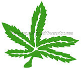 Наклейка декор GREEN (25х23см, зеленая) (#HQ426)