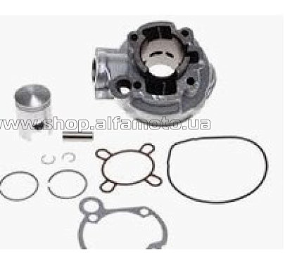 Поршневая (ЦПГ)   Minarelli 50   (?40, AM6)   (водяное охлаждение)   FLD