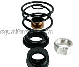 Ремкомплект заднего амортизатора Hyper 250/300 VV