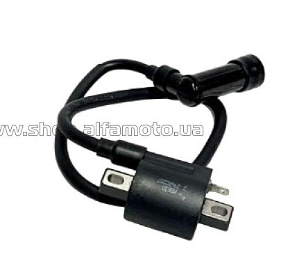Катушка   зажигания   Pro-Factory 250/300 (+насвечник) VV