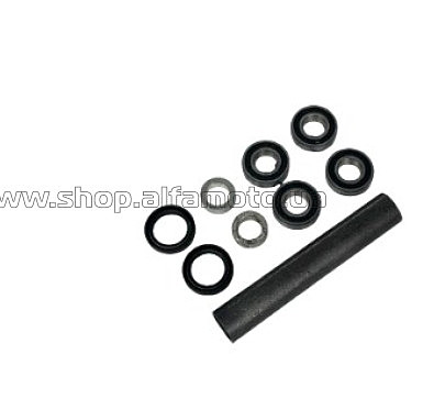 Ремкомплект маятника (4 подшипника +2 сальника+втулка) CRF 250 New VV