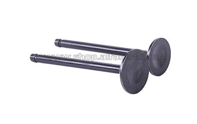Клапаны   (пара, голые)  4T CG150  (L-92mm) ZUBR AMG