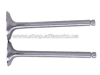 Клапаны (пара, голые) м/б 190N/195N (12/15Hp) AMG-2
