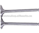 Клапаны (пара, голые) м/б 190N/195N (12/15Hp) AMG-2