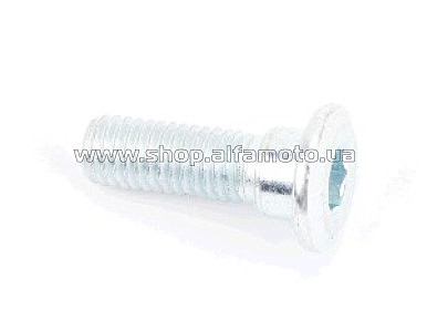Болт тормозного диска M8x25mm (под шестигранник)   OEM