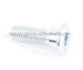 Болт тормозного диска M8x25mm (под шестигранник)   OEM
