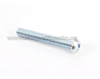 Болт   M6x40mm (под отвертку)   MIS