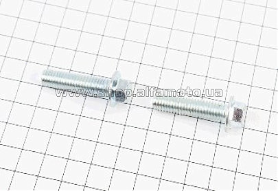 Болты   крепления крышки блока м/б  168F/170F (6,5/7Hp) (2шт) М8х30   MIS