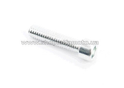 Болт   с внутренним шестигранником (L-25, ?6mm)