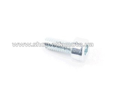 Болт   с внутренним шестигранником M4x10
