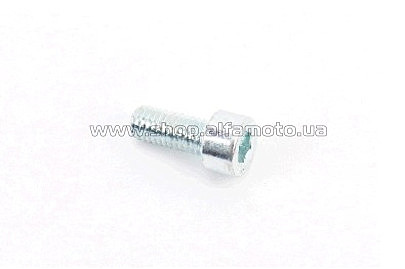 Болт   с внутренним шестигранником (L-12, ?5mm)