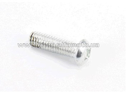 Болт   M6x20mm (под отвертку)   MIS