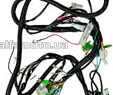 Проводка   4T GY6 50   (полный комплект) BBC